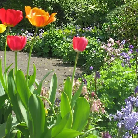 Bed & Breakfast Summerhill Sedbergh